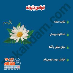 خواص بابونه بخش دوم