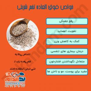 خواص تخم شربتی