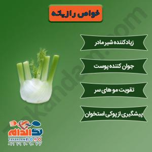خواص رازیانه