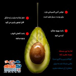 خواص اووکادو
