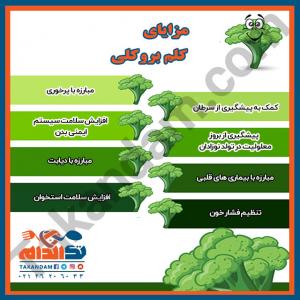 مزایای مصرف کلم بروکلی