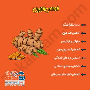 خواص-زنجبیل