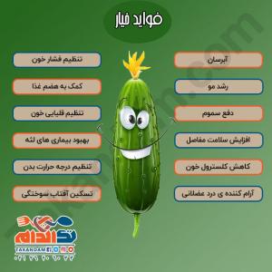 فواید خیار