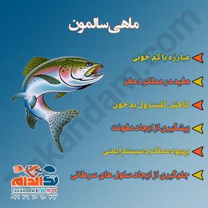 فواید مصرف ماهی سالمون