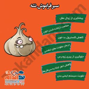 سیر فراموش نشه