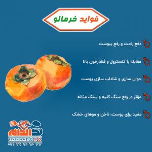 فواید خرمالو