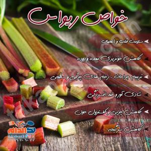 خواص ریواس