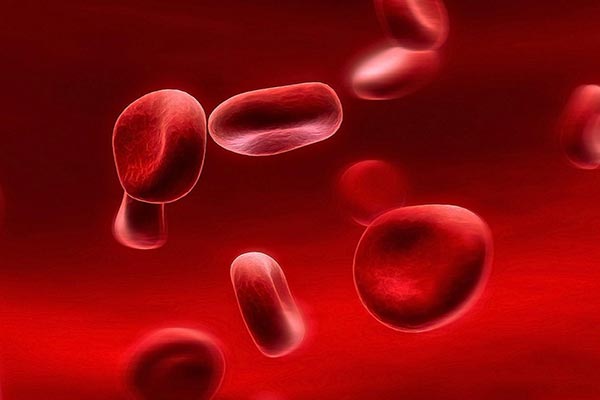 علائم ابتلا به کم خونی و روش تشخیص آن چه می باشد؟