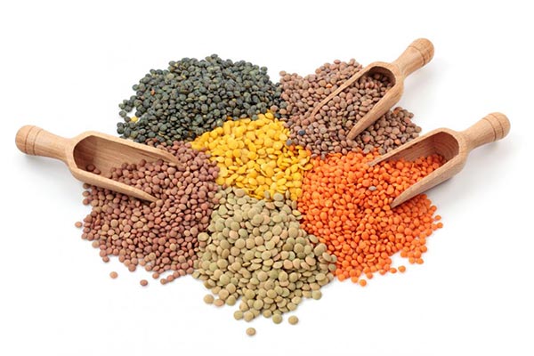 عدس، معجزه ای گیاهی