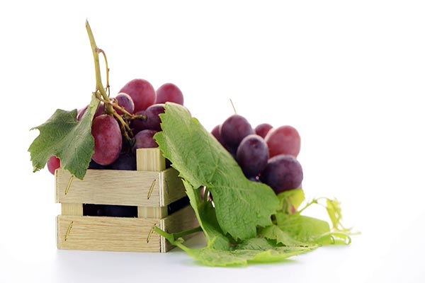 بهترین مواد غذایی برای بیماران سرطانی