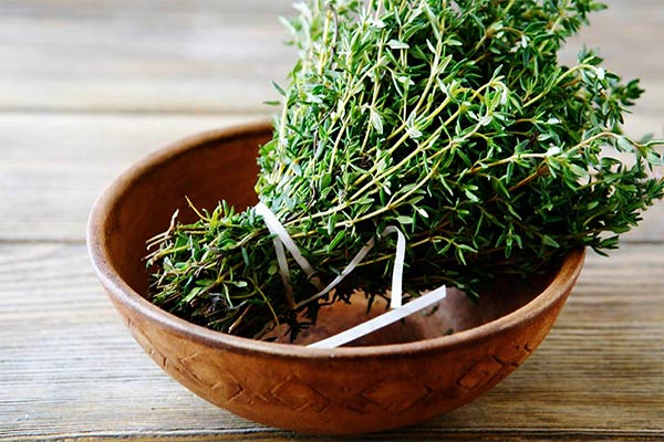 معجزه ای به نام آویشن