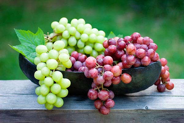 رژیم غذایی انگور