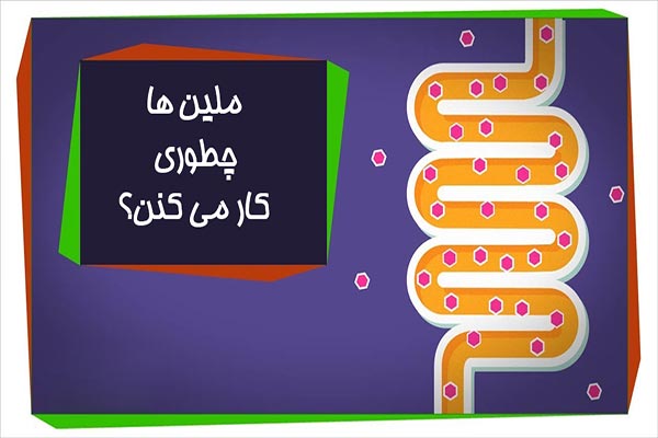 آیا استفاده از ملین ها برای کاهش وزن کار درستی است؟