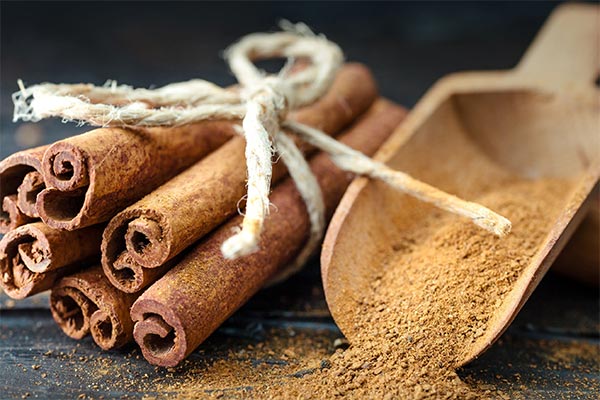 استفاده از دارچین در رژیم غذایی