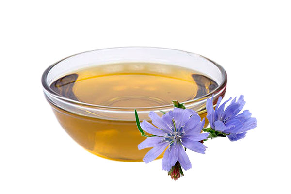 خواص سکنجبین کاسنی در طب سنتی