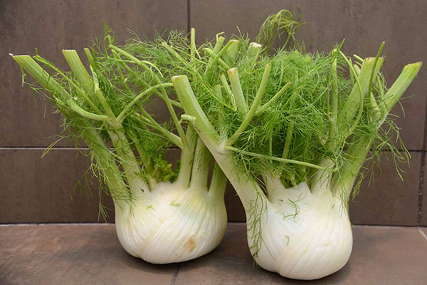 خواص رازیانه برای سلامتی
