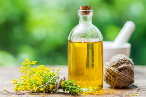 خواص روغن کلزا برای سلامتی را بیشتر بشناسید