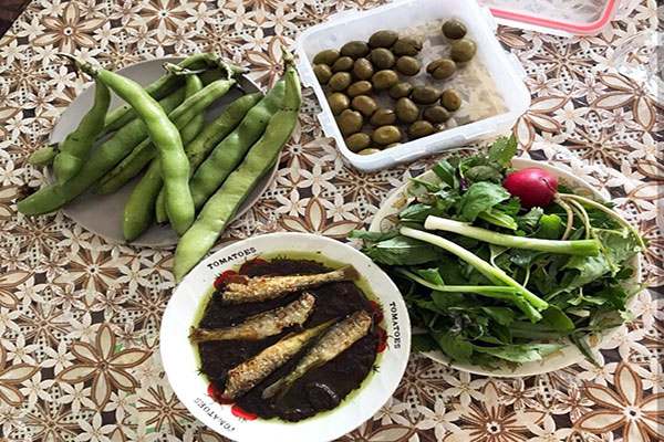 کولی غورابیج رشت