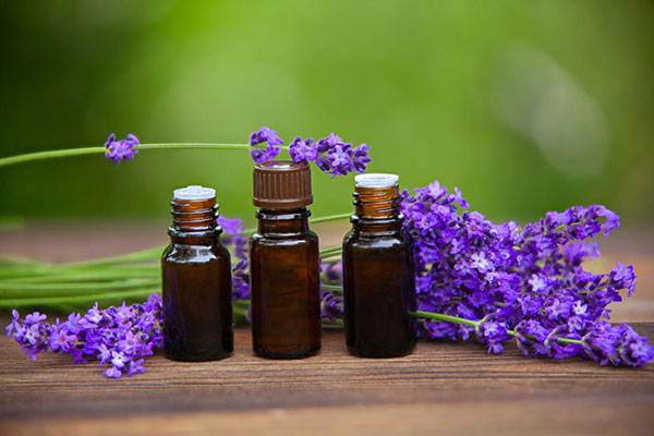 اثرات اسطوخودوس روی سلامتی